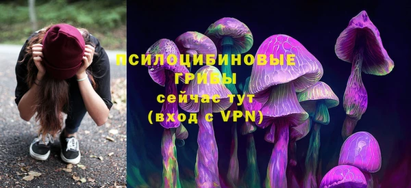 a pvp Армянск