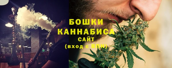 гидра Слюдянка